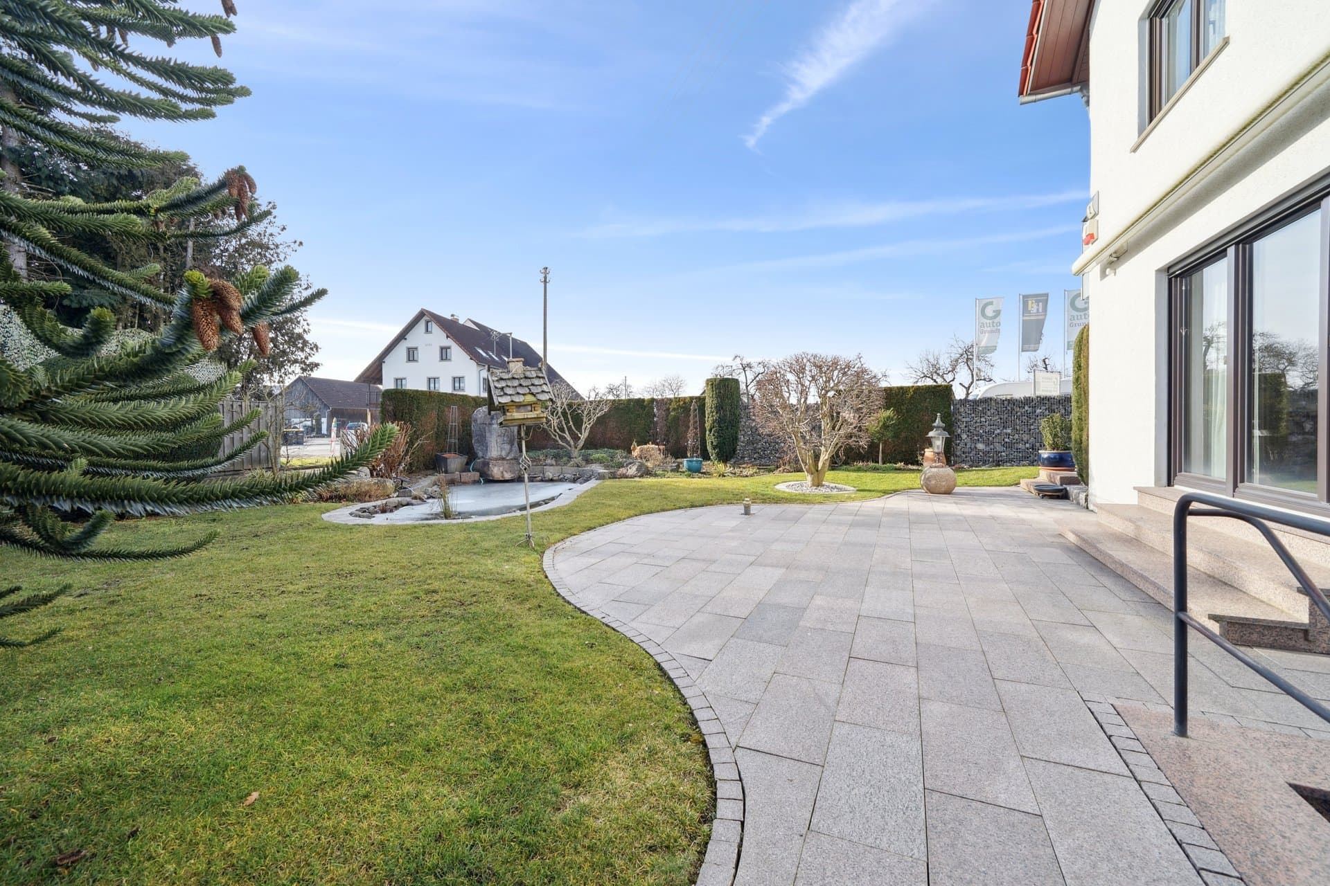 Garden side with lawn, monkey puzzle tree and a paved terrace under a blue sky